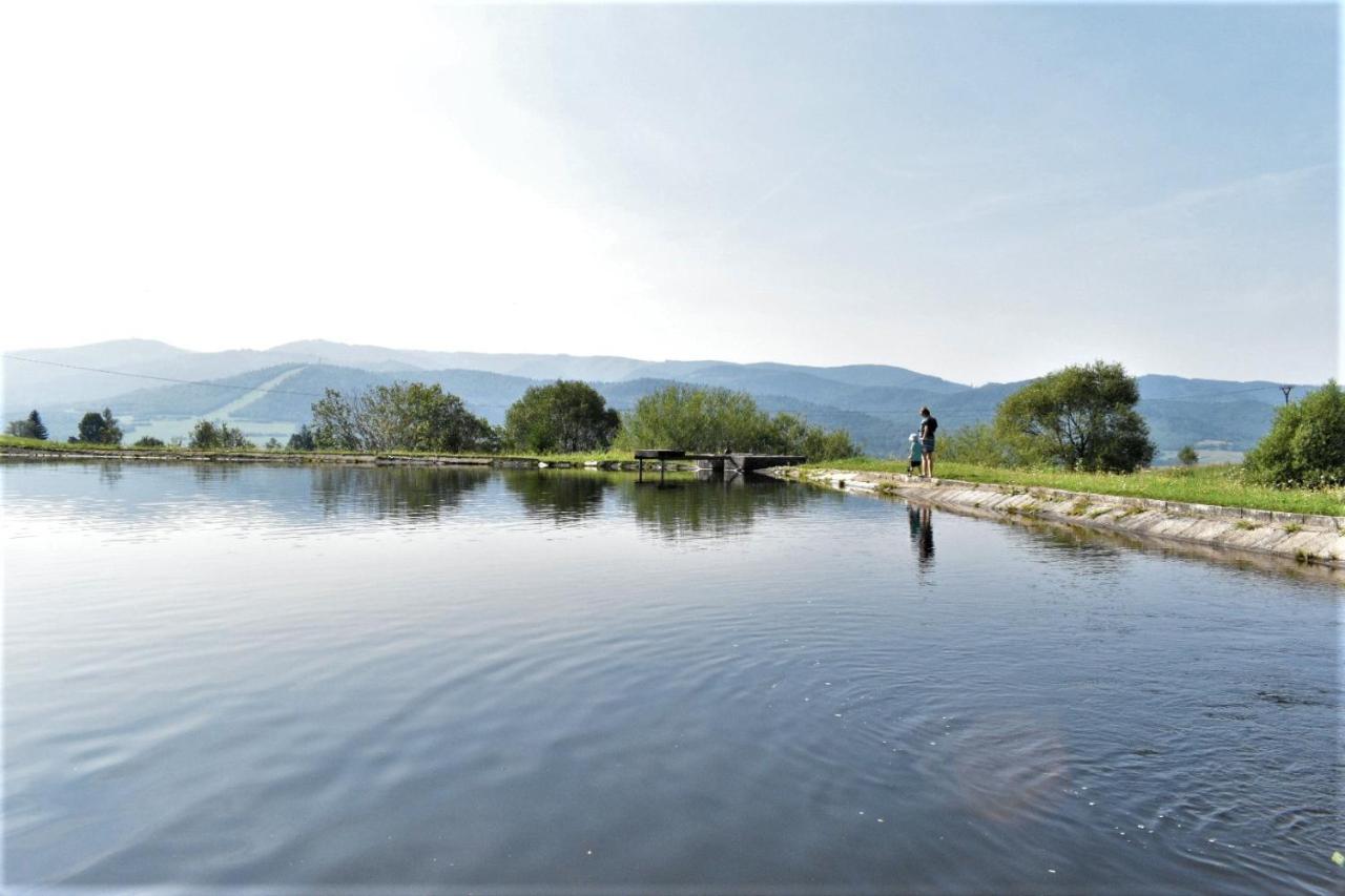 Drevenica Emilka, 5 Min Restauracia, Z Terasy Vyhlad Na Kralovu Holu A Polomske Ocko, Gril, Ohnisko, Kotlik Villa Brezno Luaran gambar