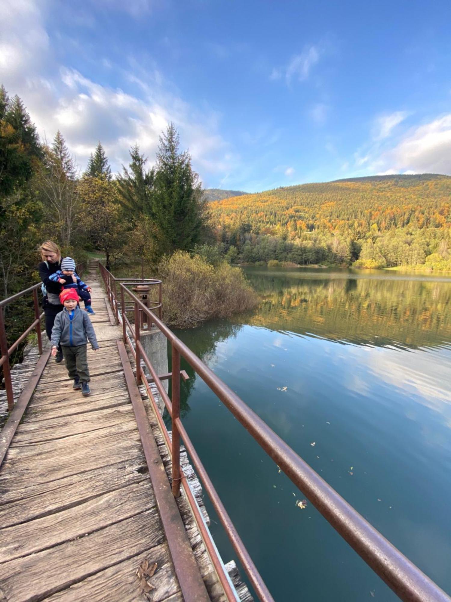 Drevenica Emilka, 5 Min Restauracia, Z Terasy Vyhlad Na Kralovu Holu A Polomske Ocko, Gril, Ohnisko, Kotlik Villa Brezno Luaran gambar