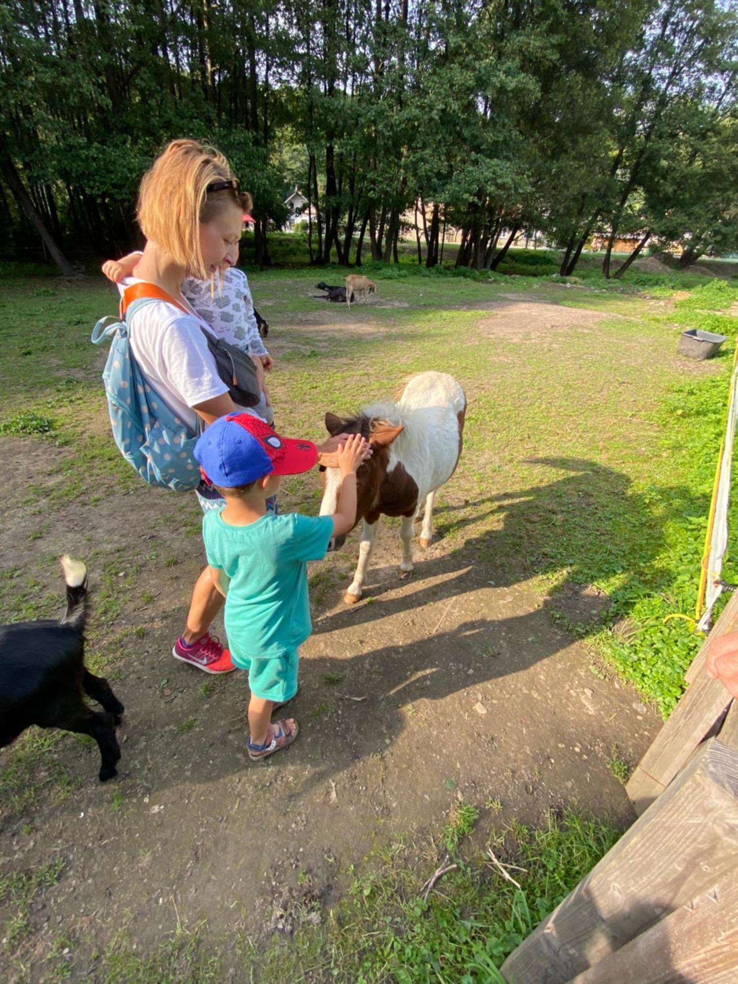 Drevenica Emilka, 5 Min Restauracia, Z Terasy Vyhlad Na Kralovu Holu A Polomske Ocko, Gril, Ohnisko, Kotlik Villa Brezno Luaran gambar